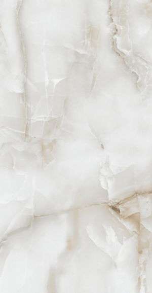 Πλακάκι Δαπέδου Γρανίτης Aquarius Onyx Grey 60x120cm