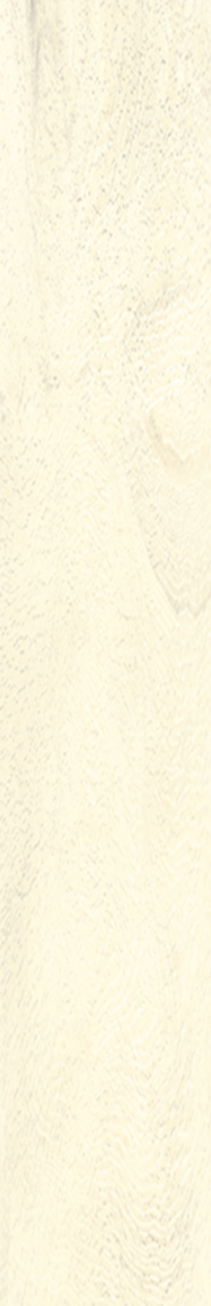 Πλακάκι Τύπου Ξύλου – Hickory Wood White Matt 20x120cm