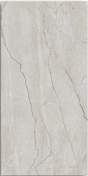 Πλακάκι δαπέδου – Life Silver Carving 60x120cm