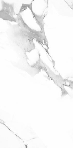 Πλακάκι Δαπέδου Γρανίτης WI 4008 60x120cm