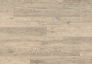 5543, Colorado Oak  