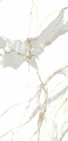 OCERA-WHITE-XY-2