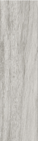 moringa-silver-15x60-george