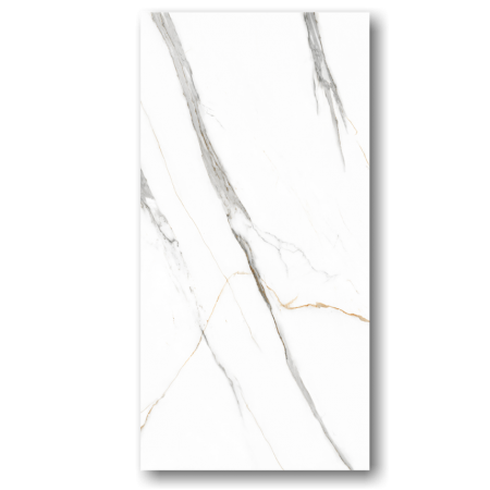 EX-78110-R1_NT